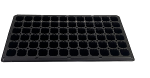 semillero almaciguero