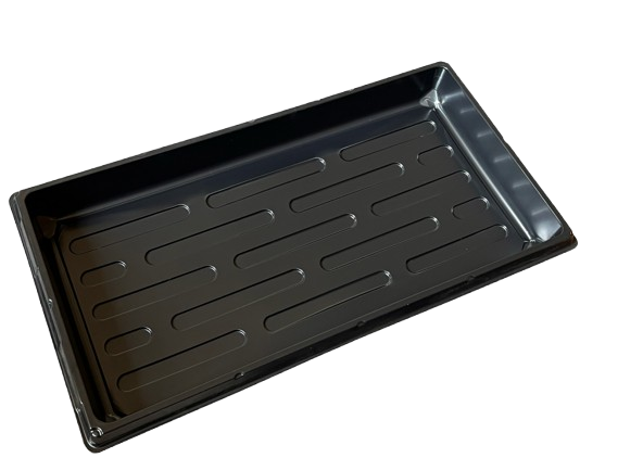 sEMILLERO, almaciguera, bandeja forestal, germinacion Hidroponia